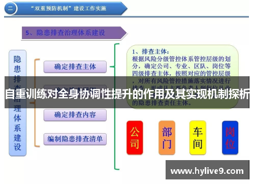 自重训练对全身协调性提升的作用及其实现机制探析